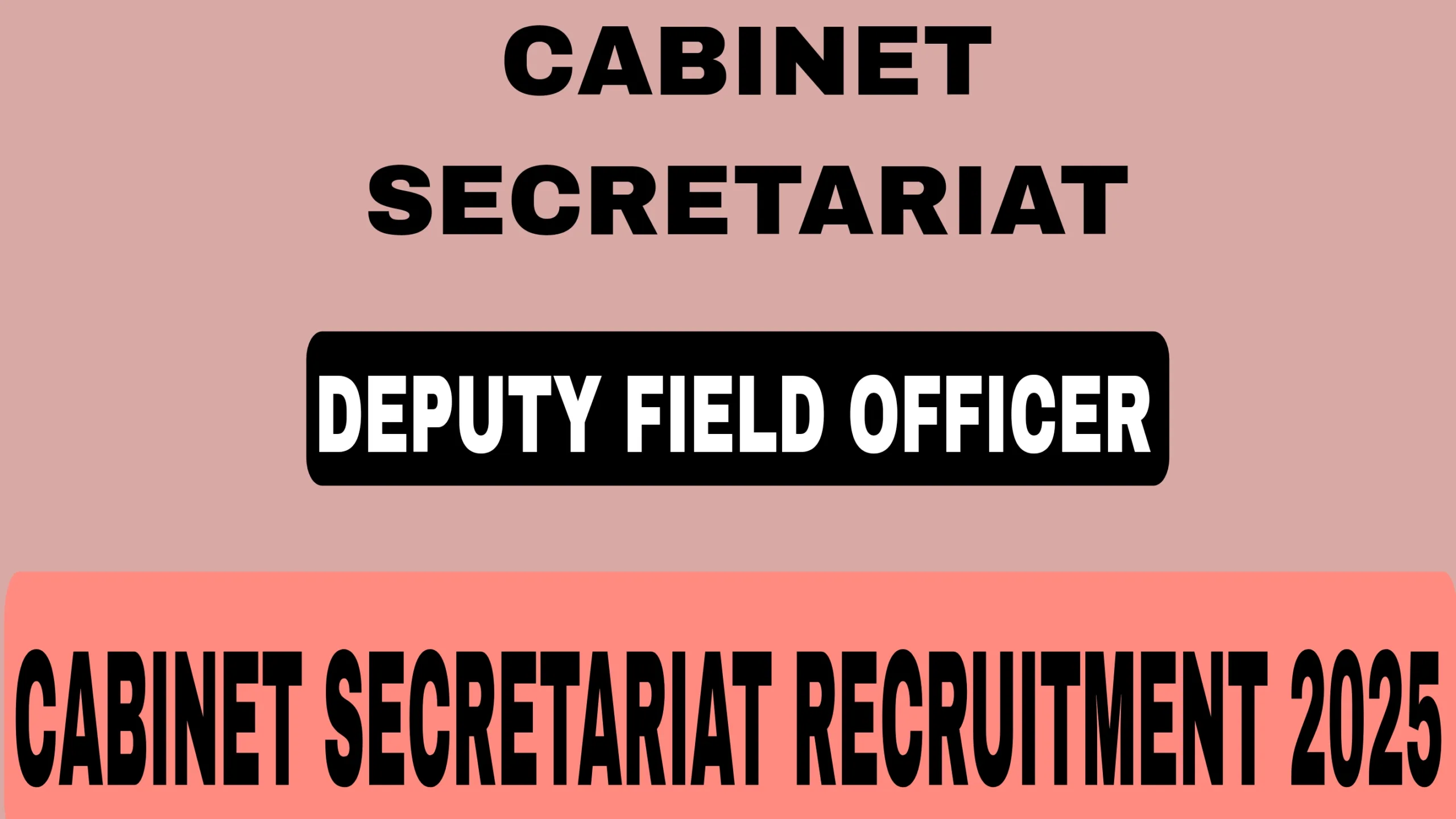 CABINET SECRETARIAT RECRUITMENT 2025